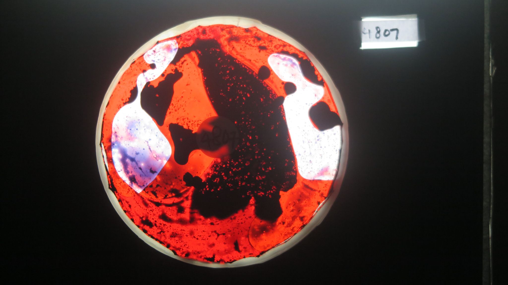 BV4807 bubble vision oil wheel